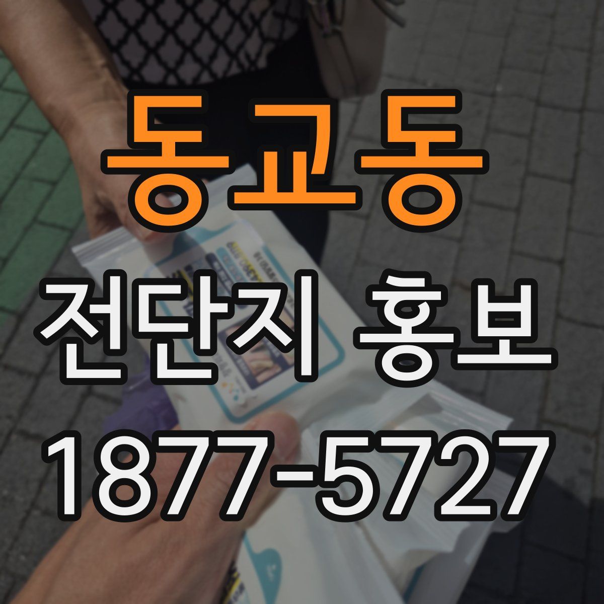 동교동 전단지 홍보