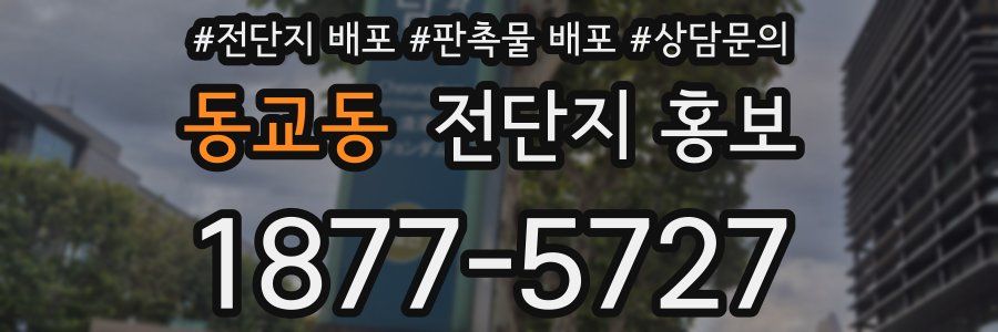 동교동 전단지 홍보