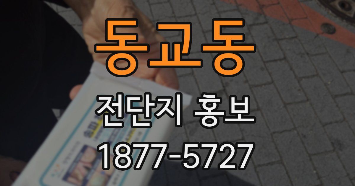 동교동 전단지 홍보
