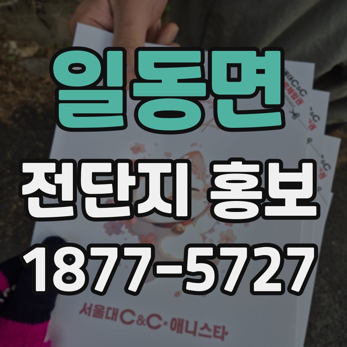 일동면 전단지 홍보