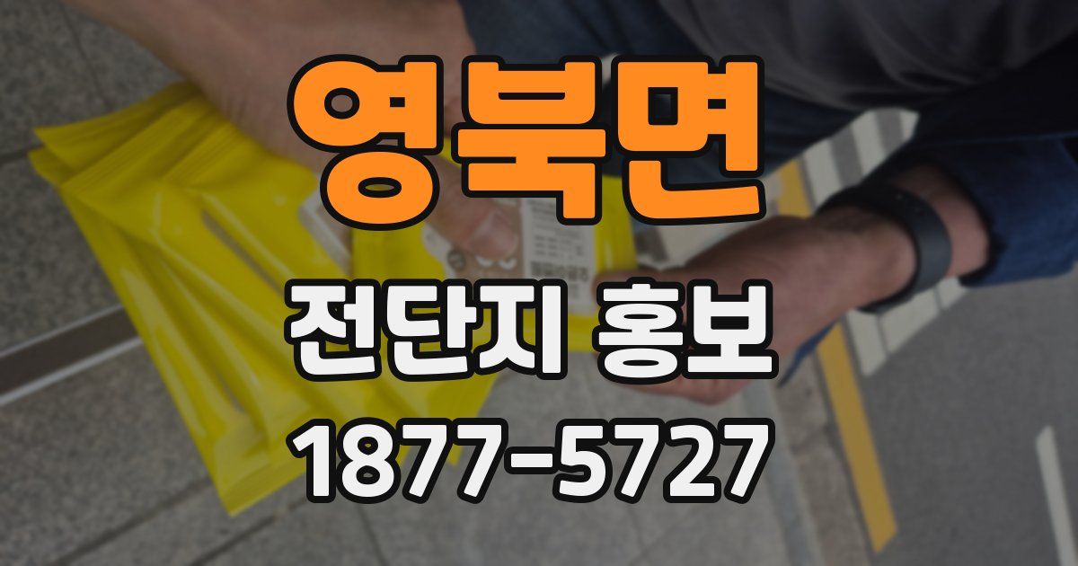 영북면 전단지 홍보