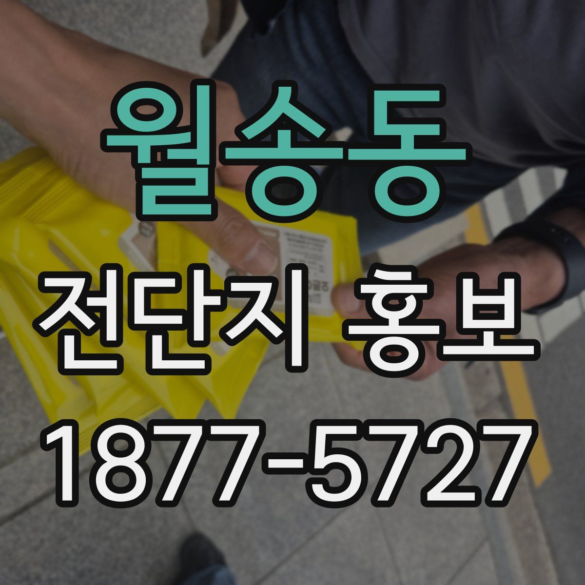 월송동 전단지 홍보