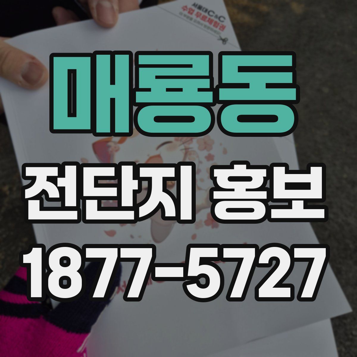 매룡동 전단지 홍보
