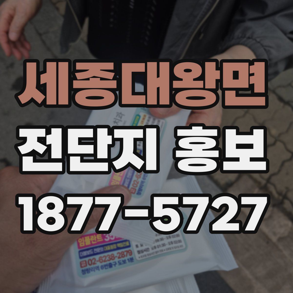 세종대왕면 전단지 홍보