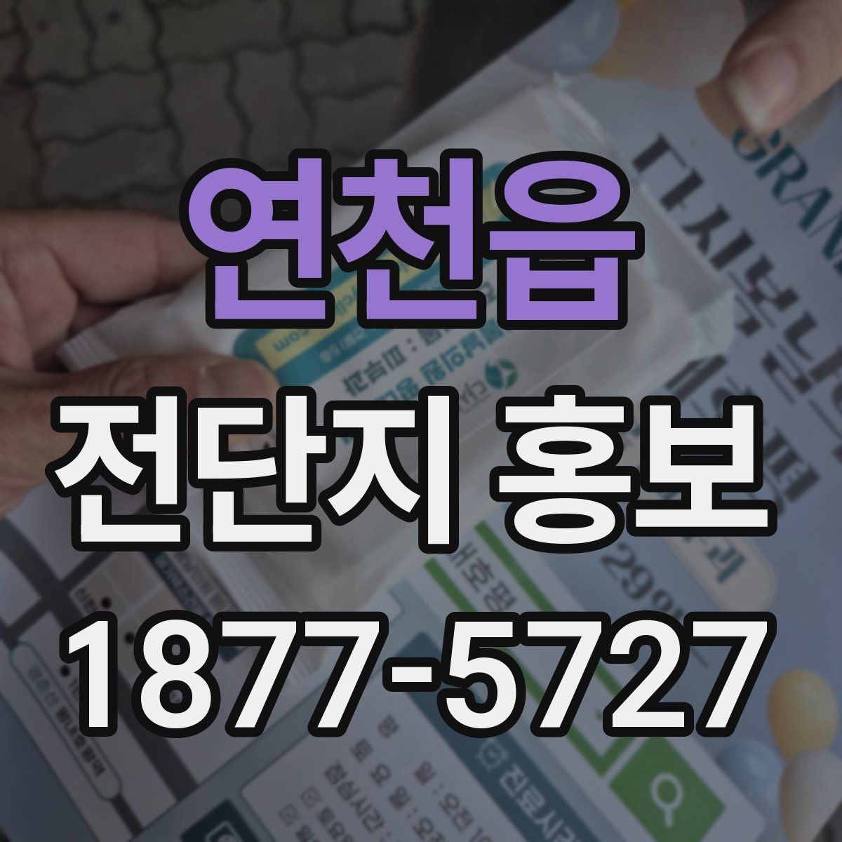 연천읍 전단지 홍보
