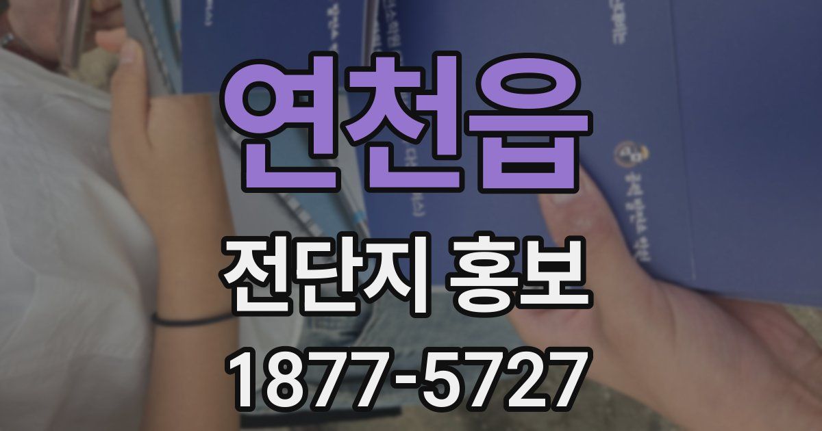 연천읍 전단지 홍보