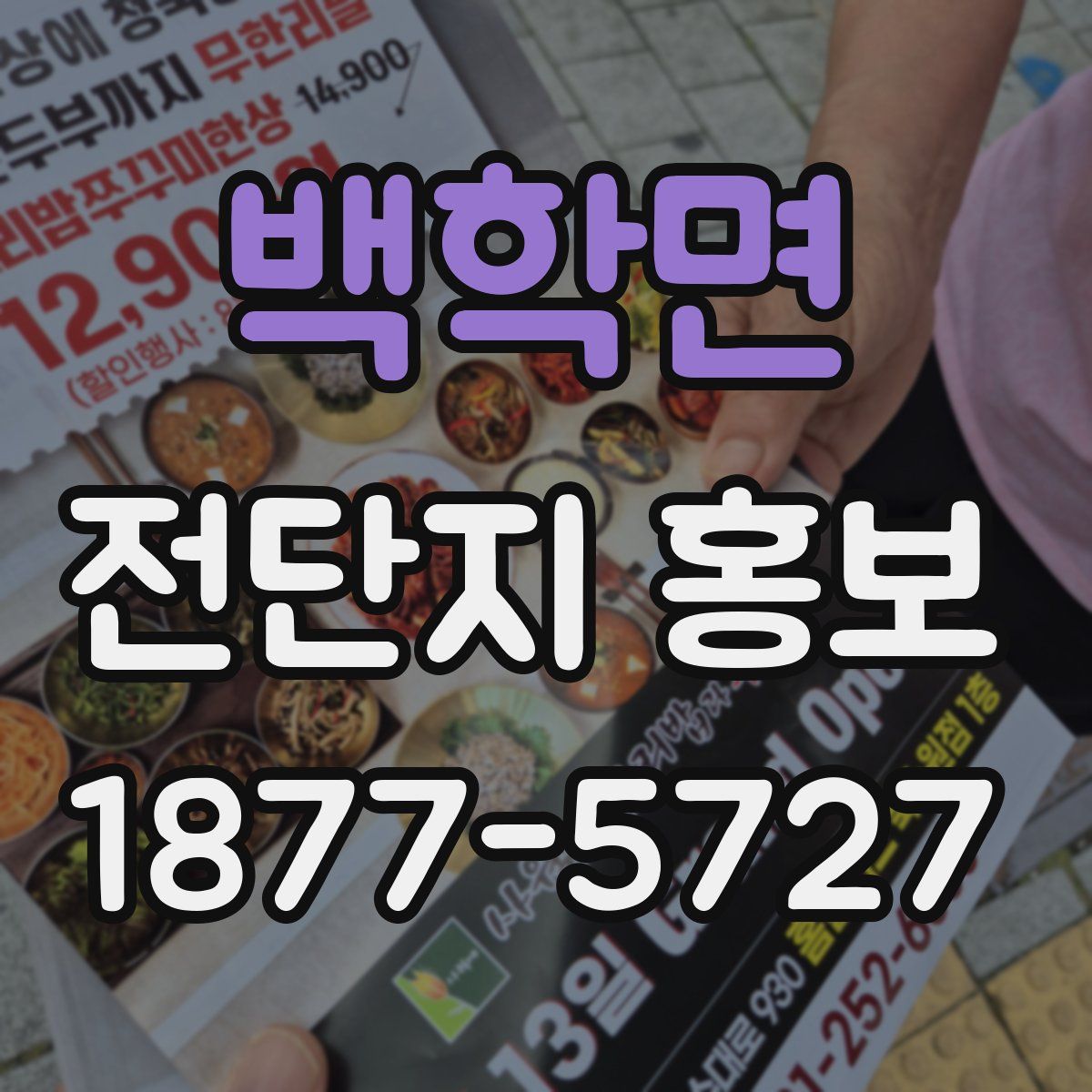 백학면 전단지 홍보