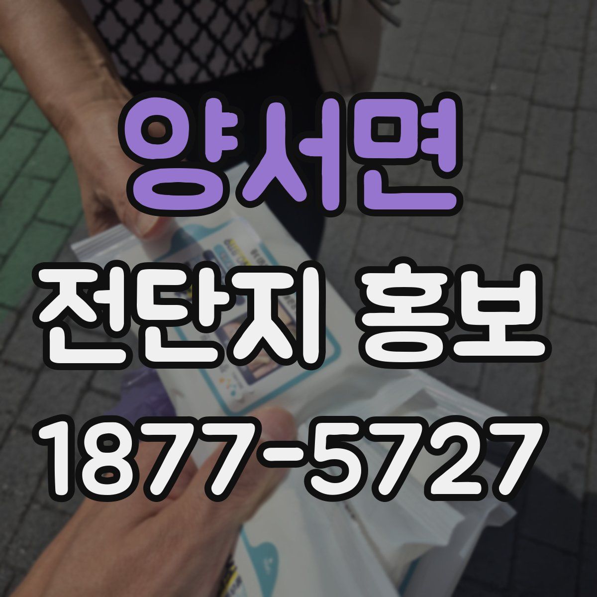 양서면 전단지 홍보