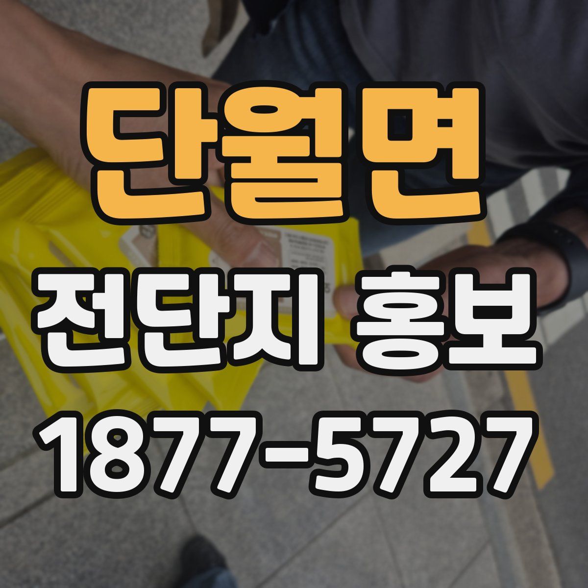 단월면 전단지 홍보