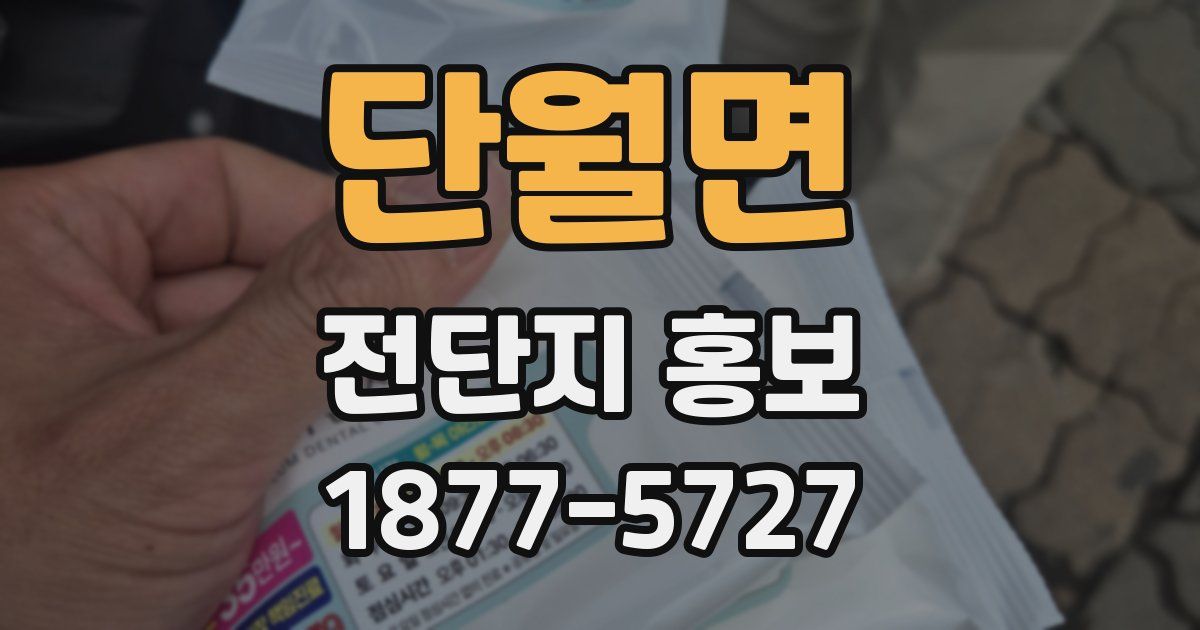 단월면 전단지 홍보