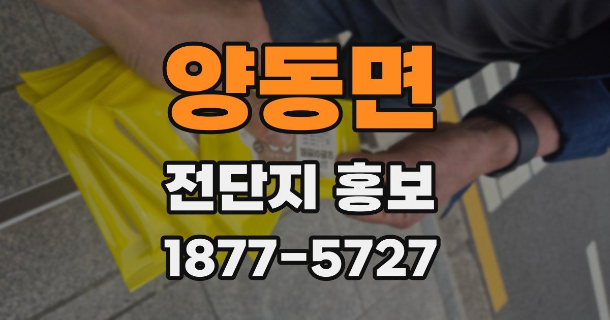 양동면 전단지 홍보