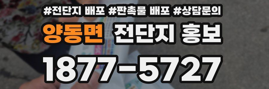 양동면 전단지 홍보