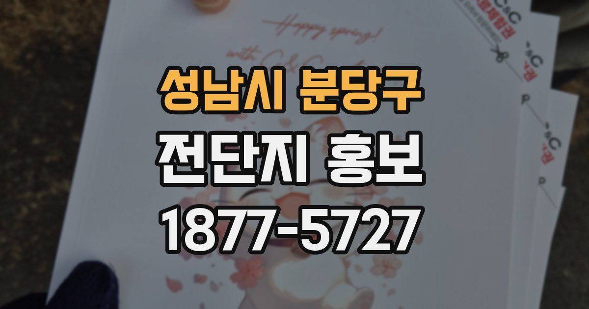 성남시 분당구 전단지 홍보