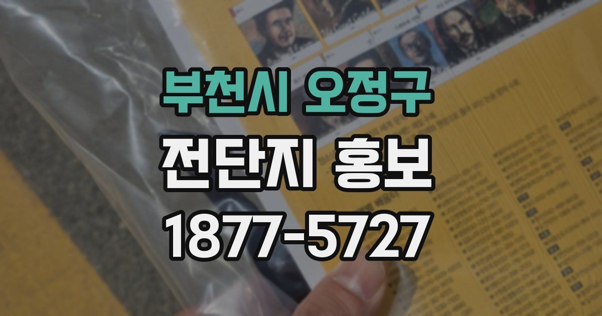 부천시 오정구 전단지 홍보