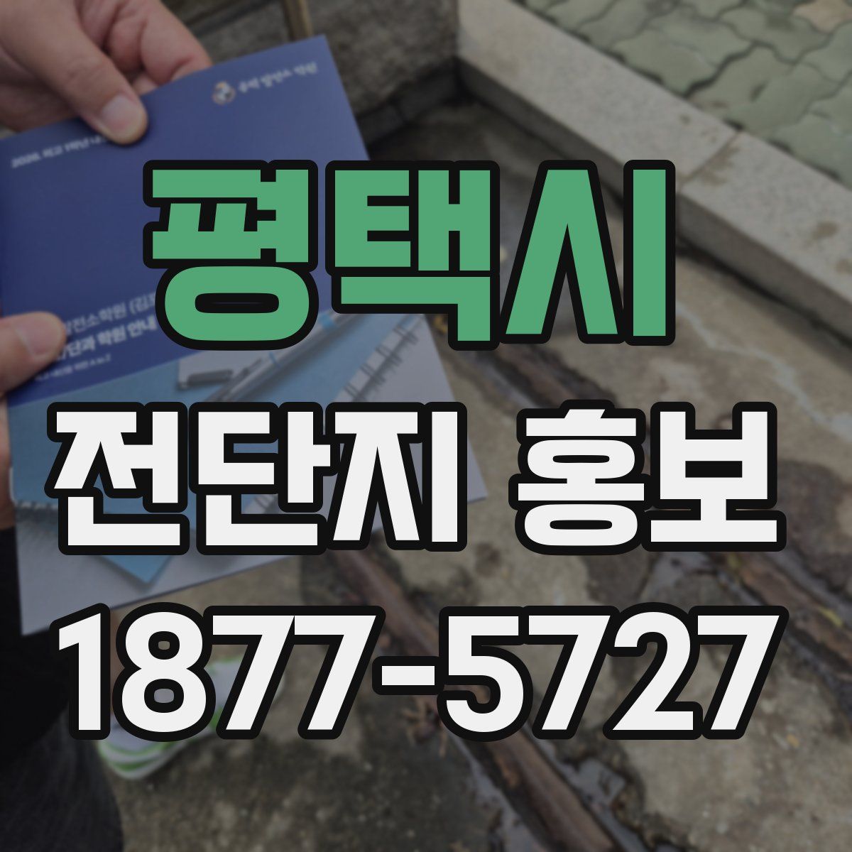 평택시 전단지 홍보