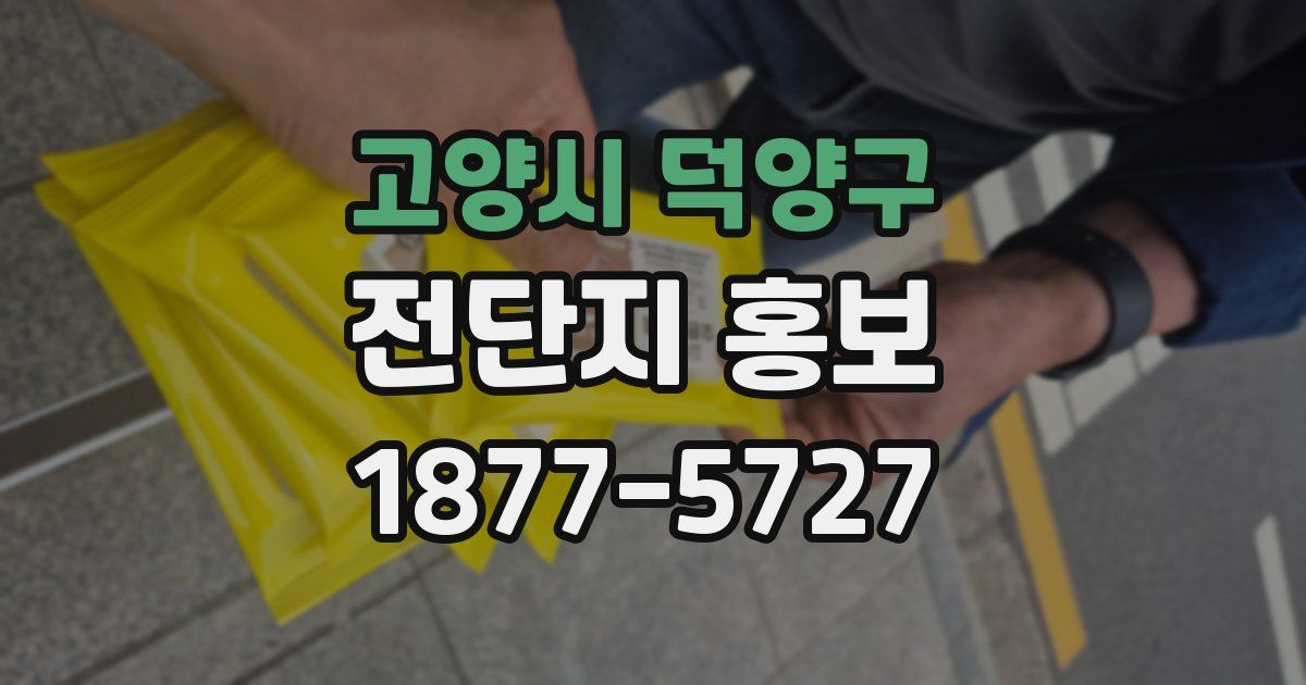고양시 덕양구 전단지 홍보