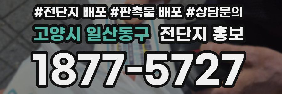 고양시 일산동구 전단지 홍보