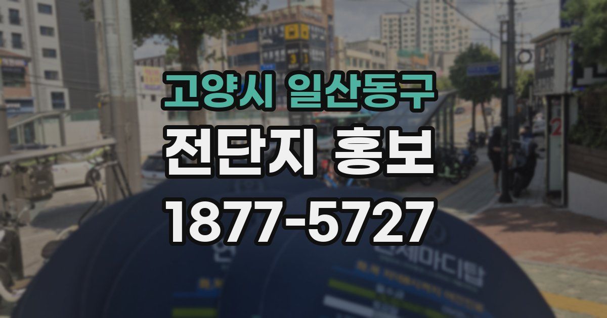 고양시 일산동구 전단지 홍보