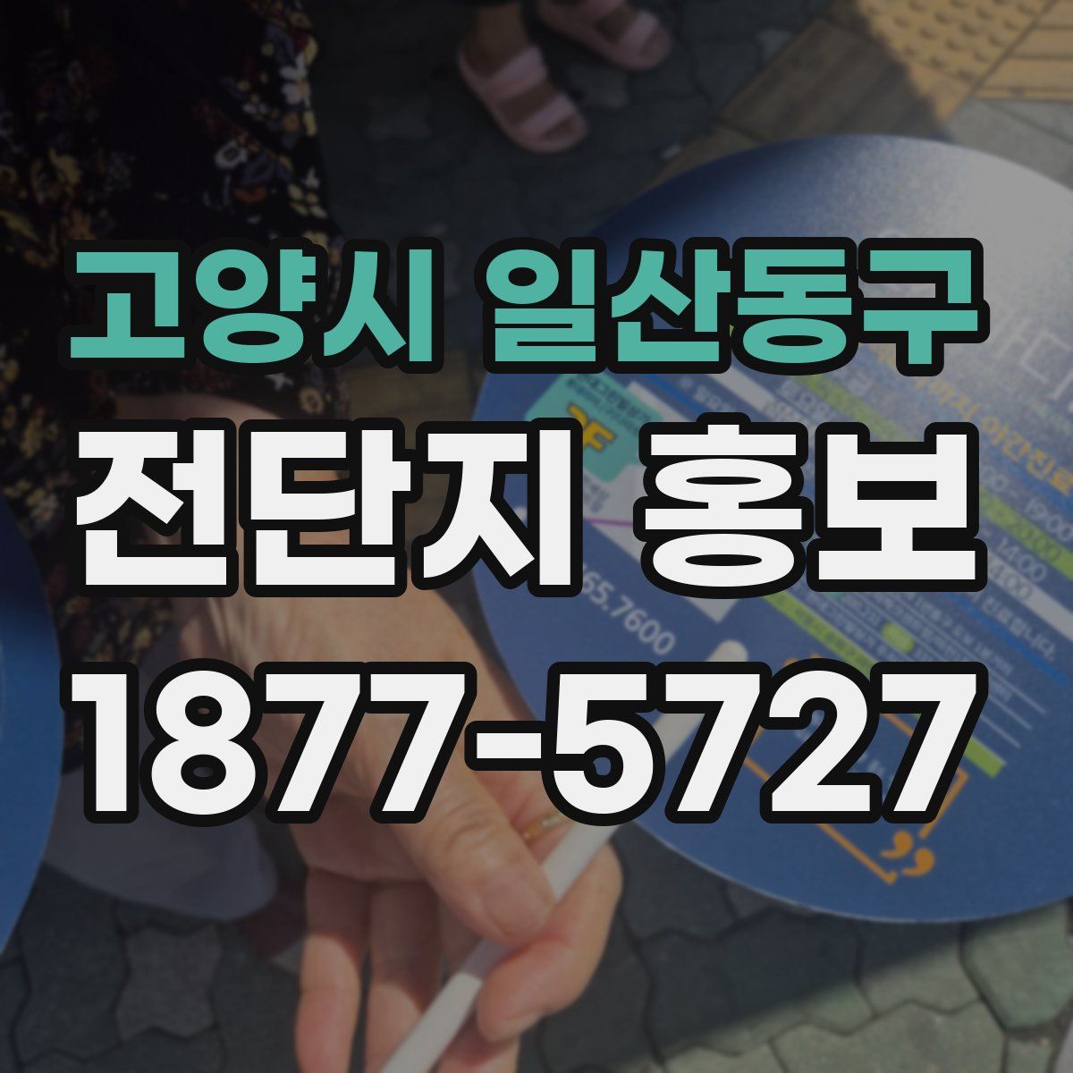 고양시 일산동구 전단지 홍보