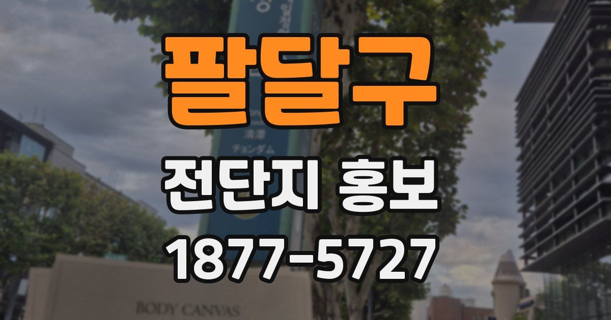팔달구 전단지 홍보