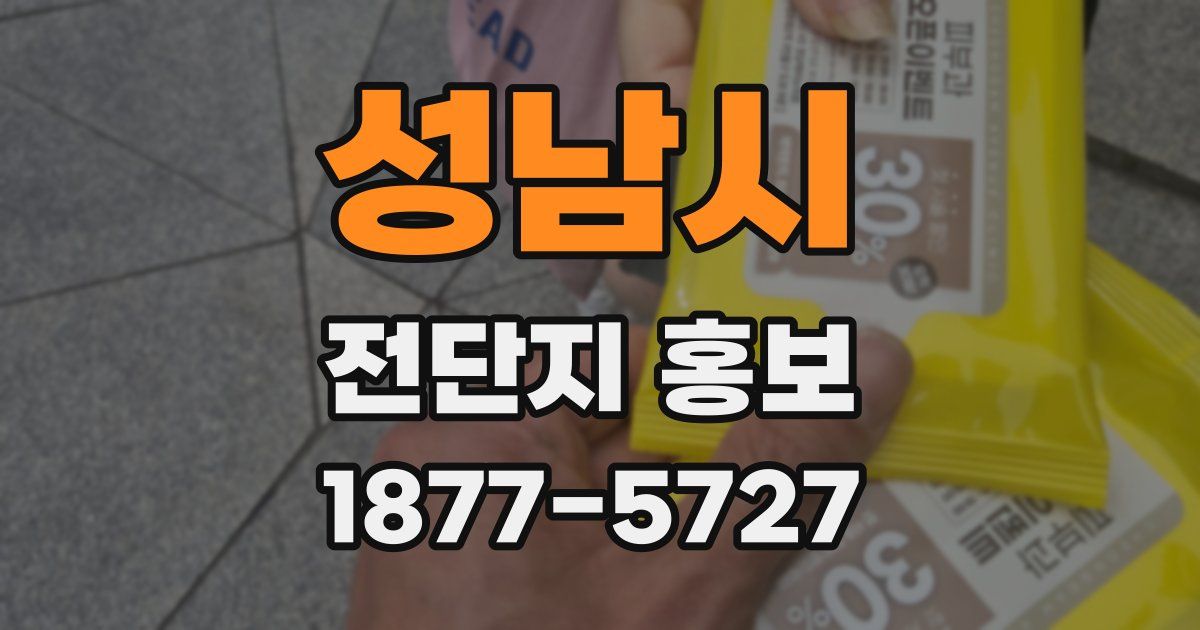 성남시 전단지 홍보