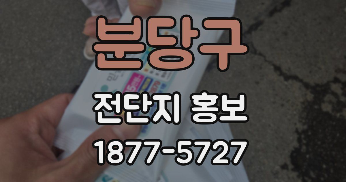 분당구 전단지 홍보