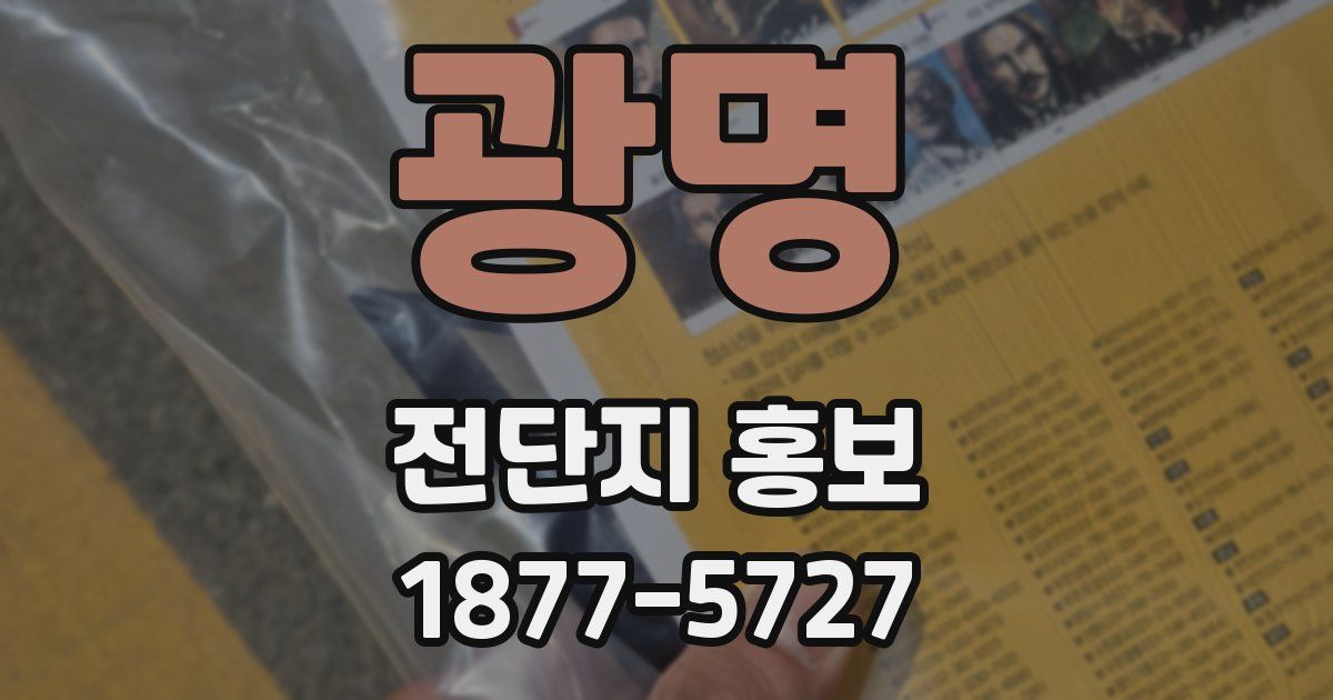 광명 전단지 홍보