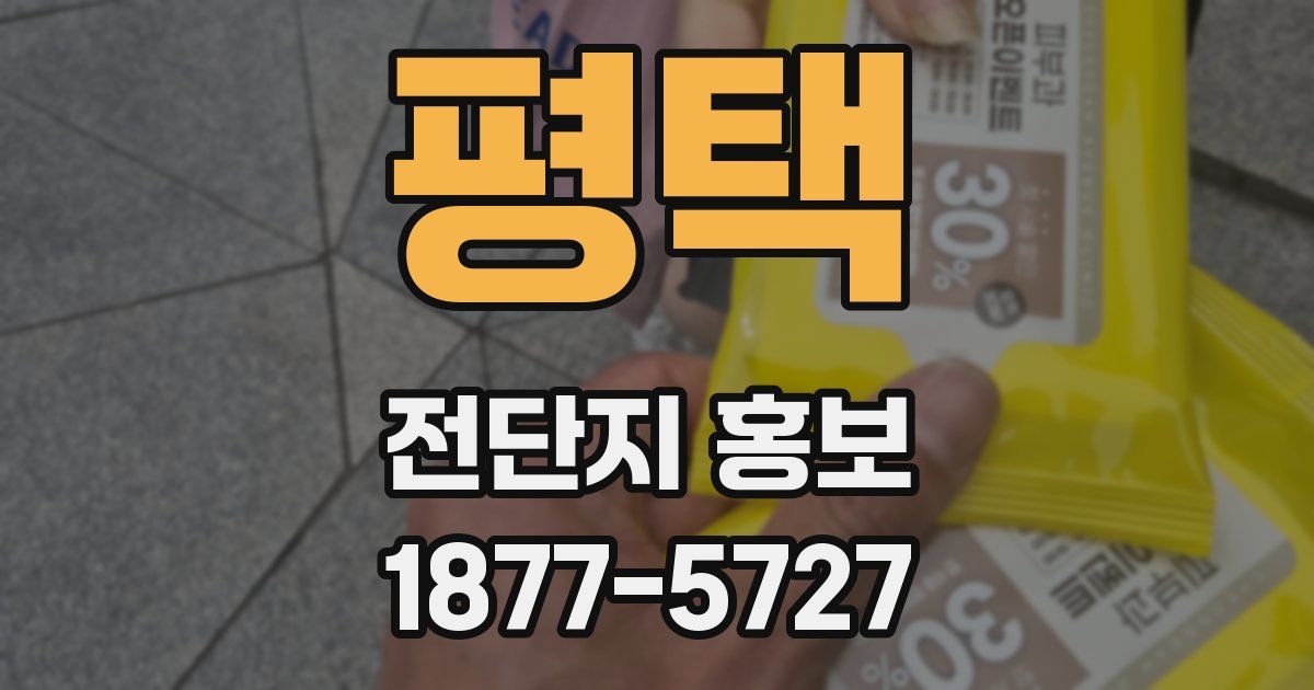 평택 전단지 홍보