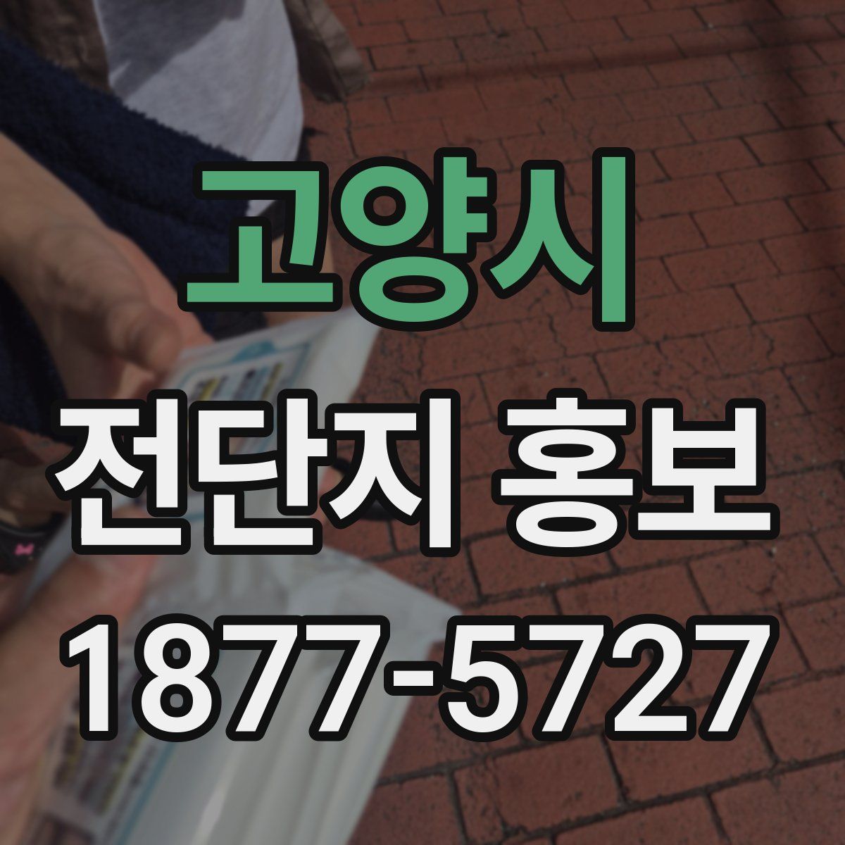 고양시 전단지 홍보