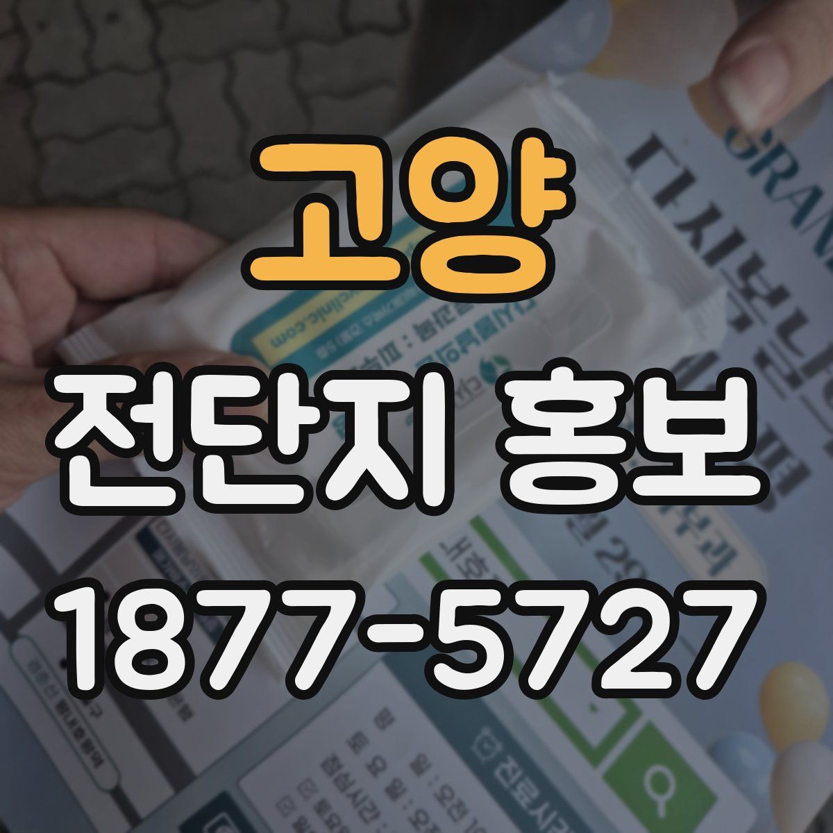 고양 전단지 홍보