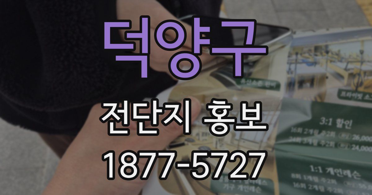 덕양구 전단지 홍보