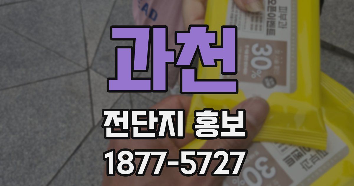 과천 전단지 홍보