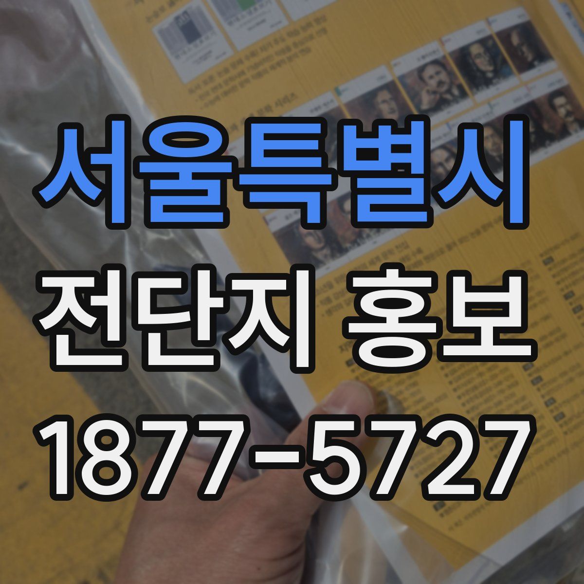 서울특별시 전단지 홍보