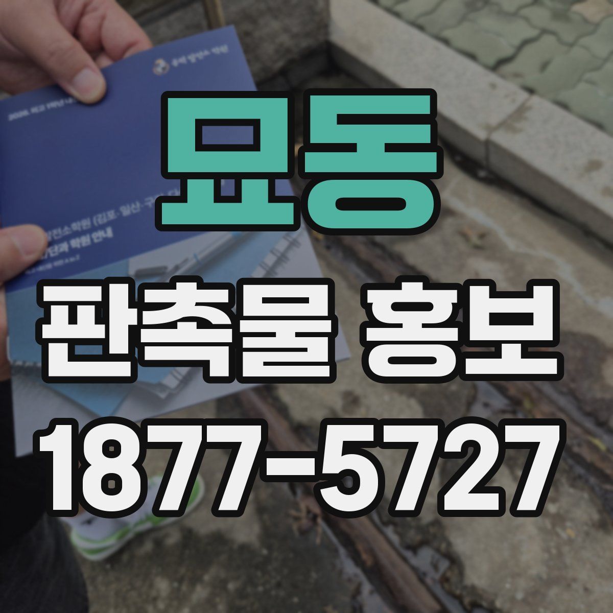 묘동 판촉물 홍보