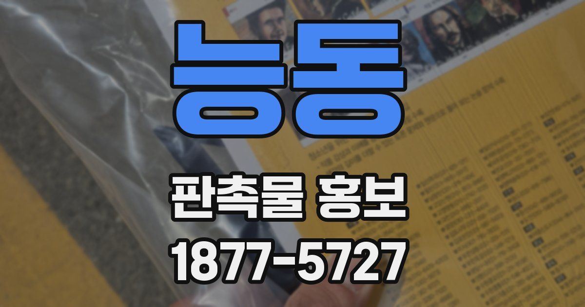 능동 판촉물 홍보