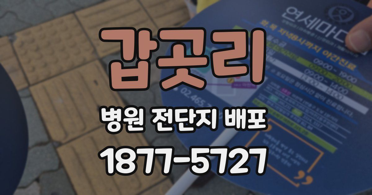 갑곳리 병원 전단지 배포