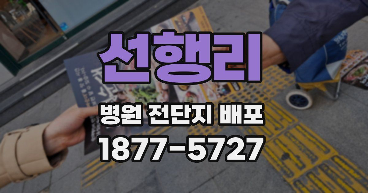 선행리 병원 전단지 배포