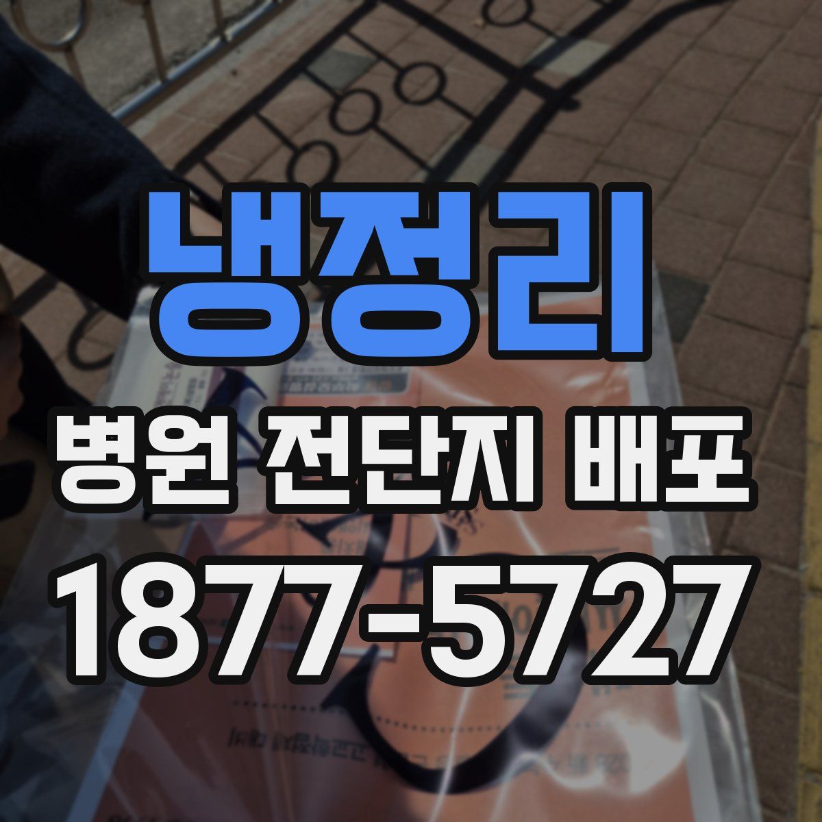 냉정리 병원 전단지 배포