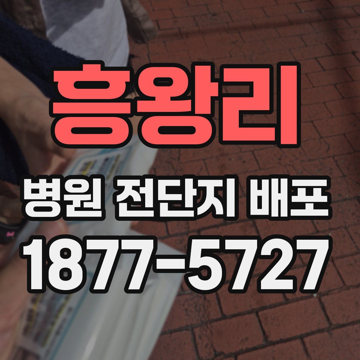 흥왕리 병원 전단지 배포