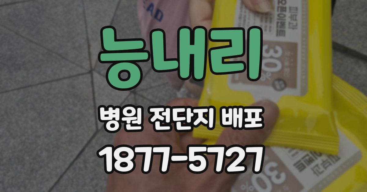 능내리 병원 전단지 배포