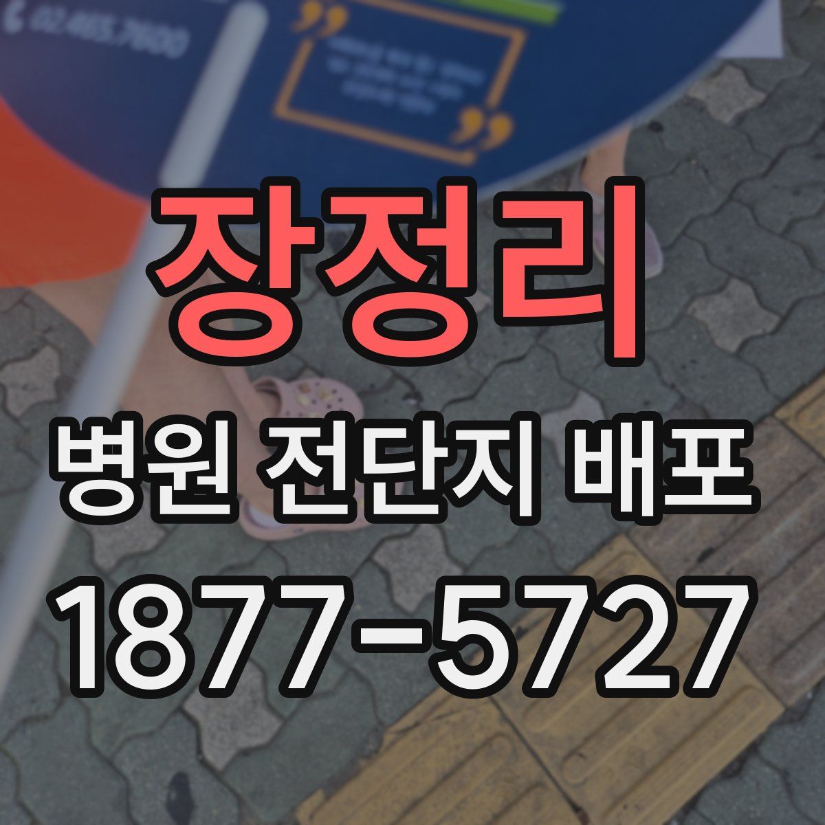 장정리 병원 전단지 배포