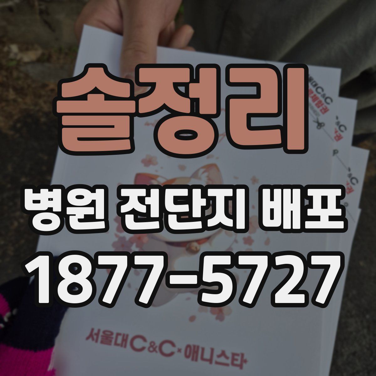 솔정리 병원 전단지 배포