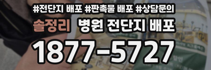 솔정리 병원 전단지 배포