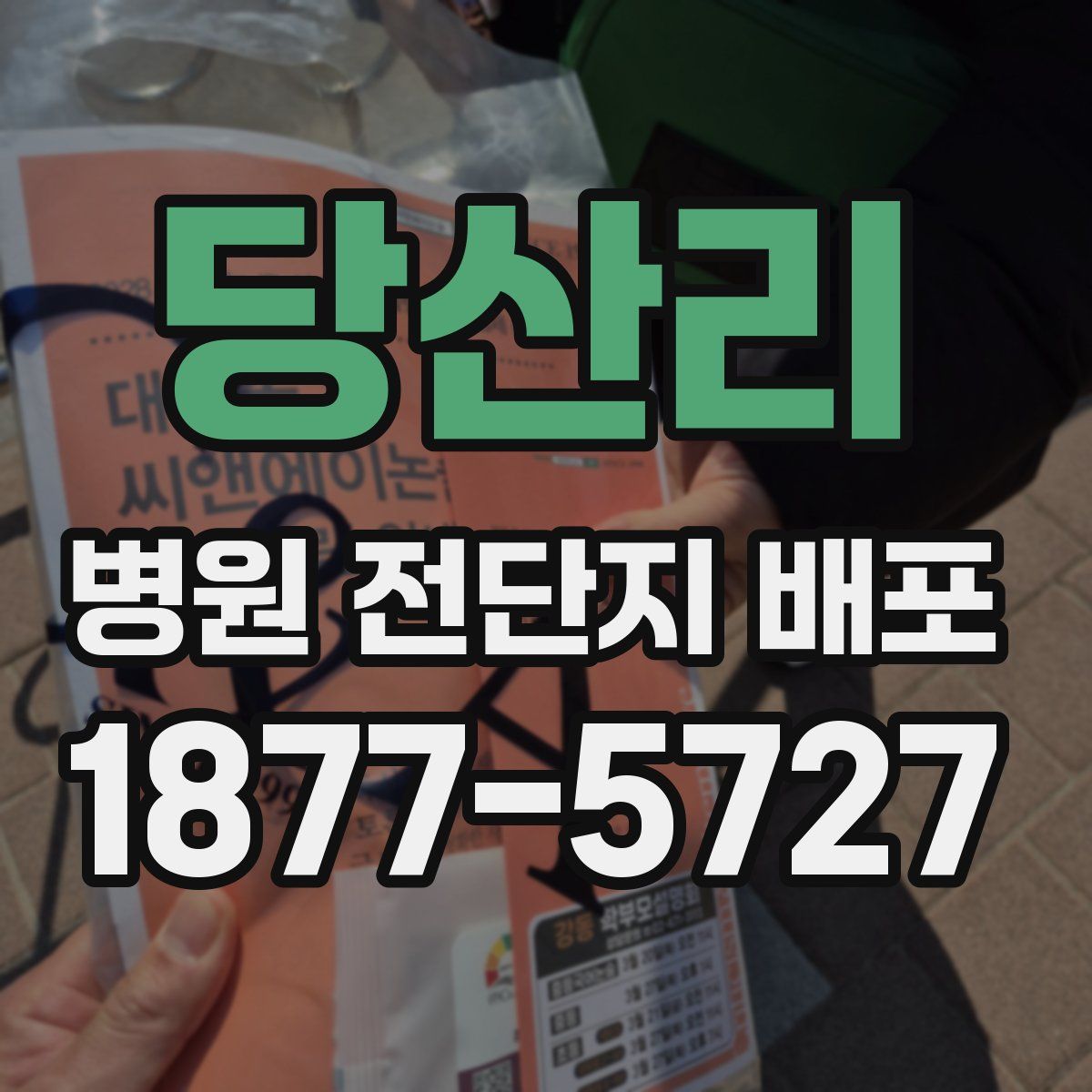 당산리 병원 전단지 배포
