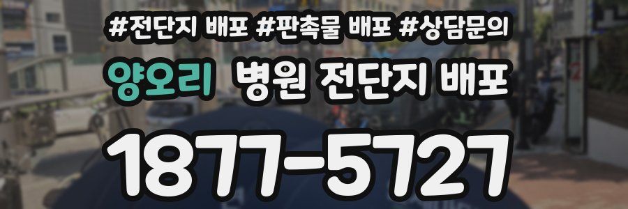 양오리 병원 전단지 배포
