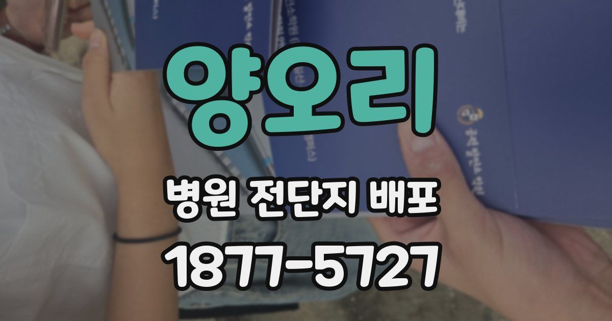 양오리 병원 전단지 배포