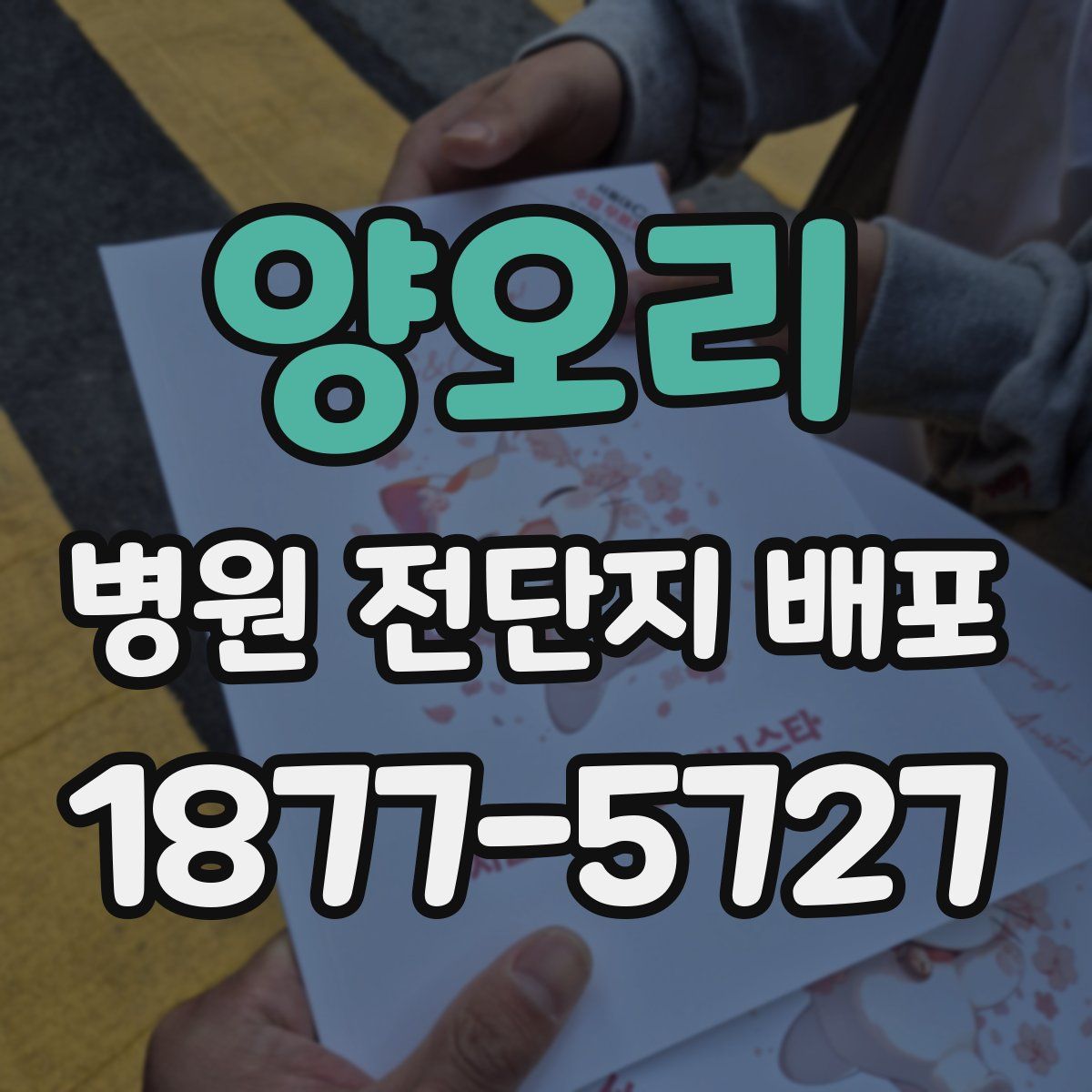 양오리 병원 전단지 배포