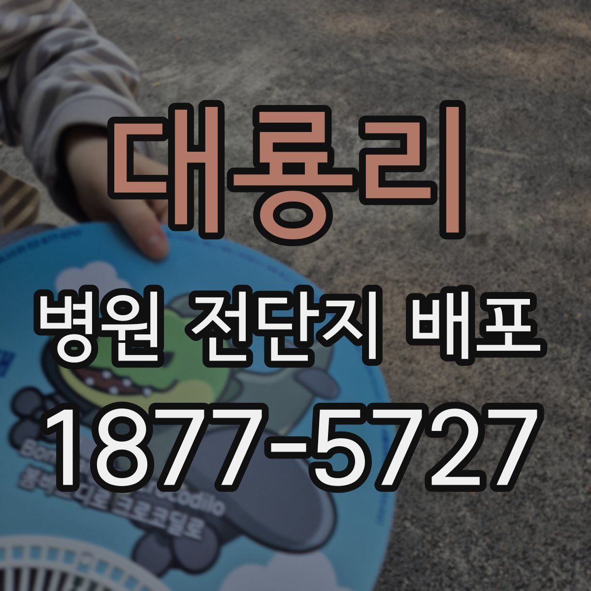 대룡리 병원 전단지 배포