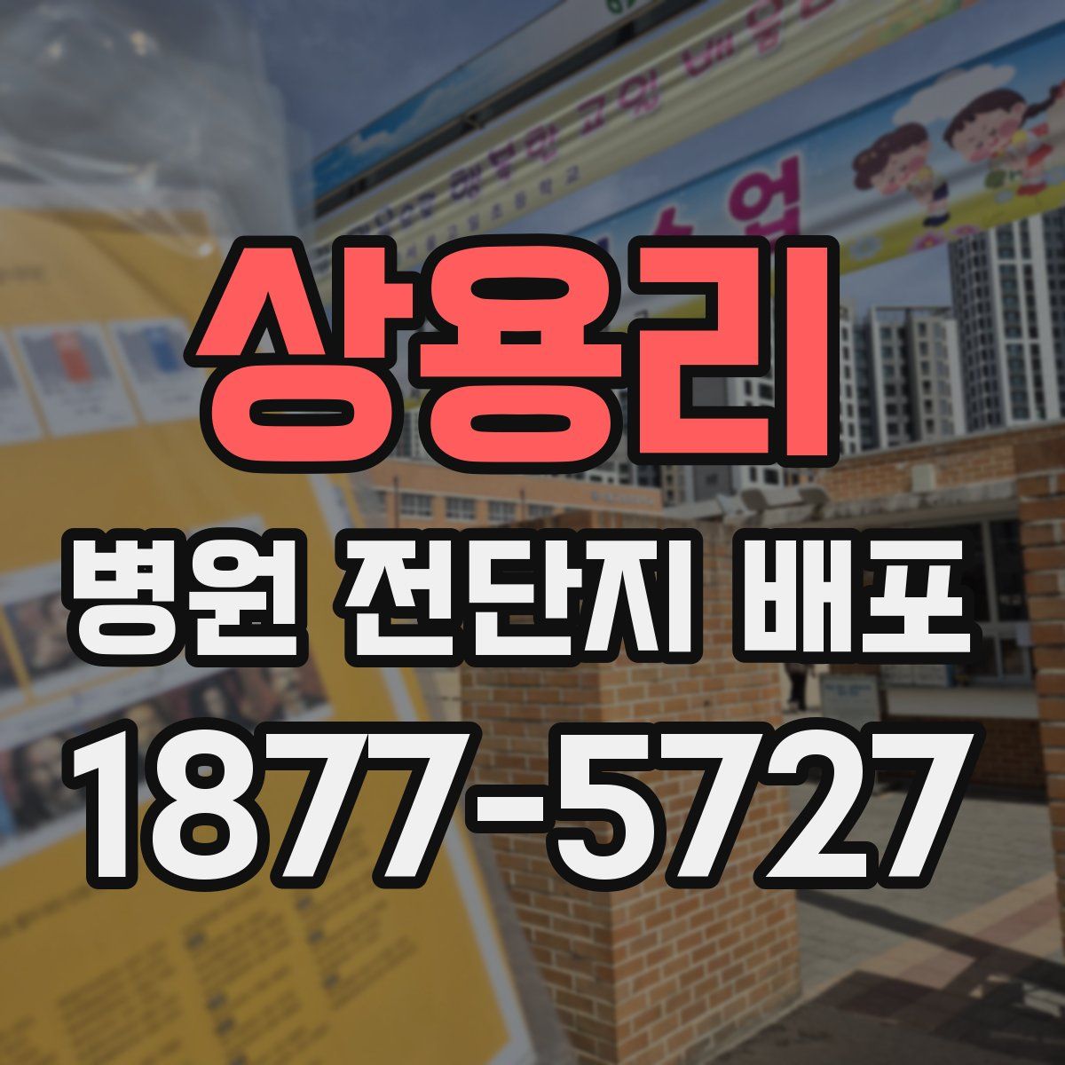 상용리 병원 전단지 배포