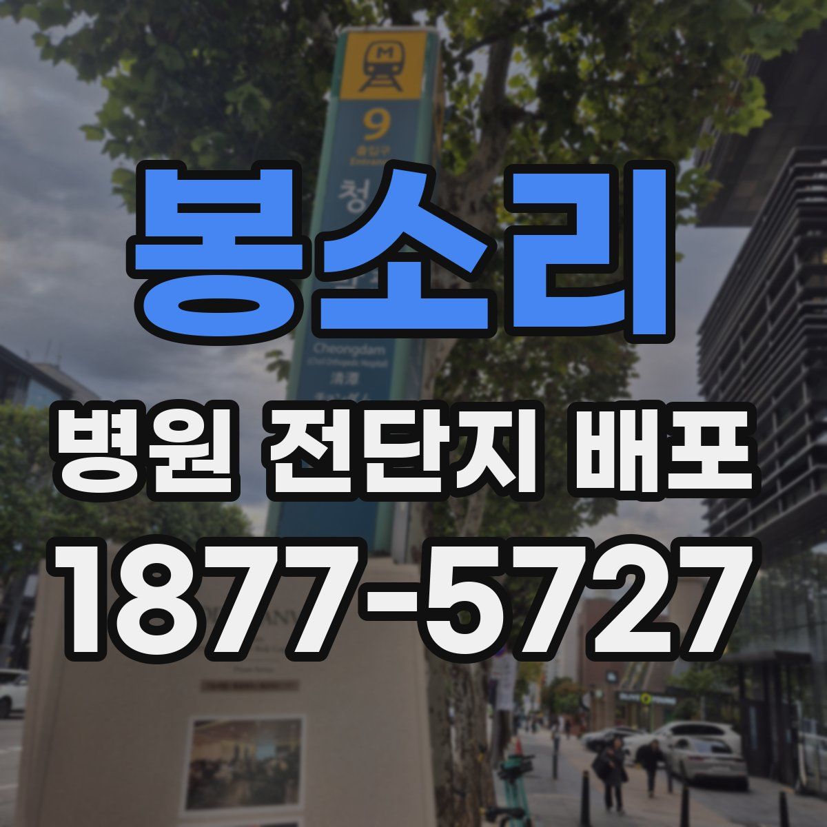 봉소리 병원 전단지 배포